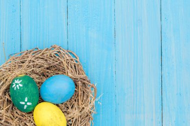 Yuvada Paskalya yumurtaları, turkuaz Paskalya arkaplanı, kopya alanı olan üst görünüm.