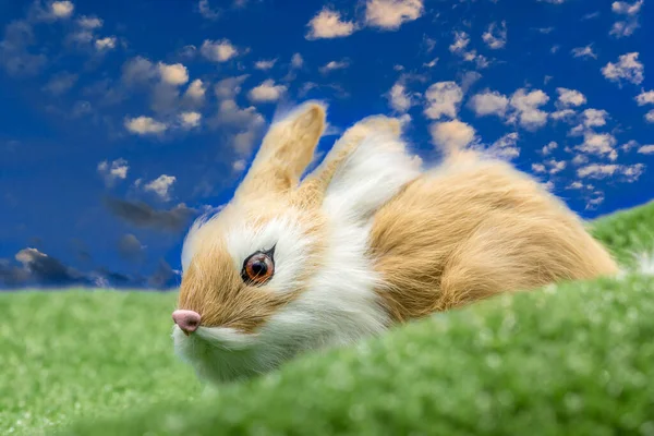 Decoración Pascua Con Conejo Pascua Vacaciones Tradición Concepto Objeto — Foto de Stock