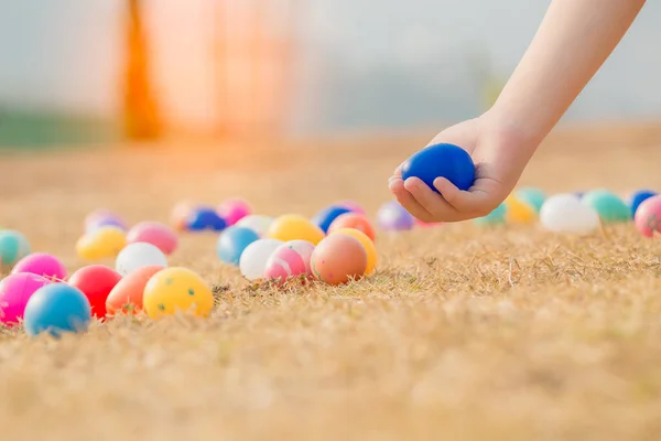 Mano Caza Infantil Huevos Pascua Los Rayos Del Sol Poniente — Foto de Stock