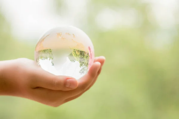 Hands Holding Globe Glass Green Forest Miljökoncept Usa Element Denna — Stockfoto