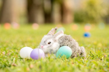 Tavşan, Paskalya, bayram, gelenek ve nesne konseptiyle Paskalya süslemesi.