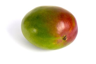 Beyaz arka planda mangolar