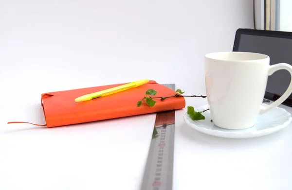 Caderno Régua Galhos Com Folhas Verdes Com Uma Caneta Canecas — Fotografia de Stock