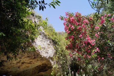Sicilya 'nın muhteşem doğası. Syracuse ili, İtalya
