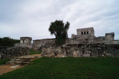 Piramit El Castillo. Tulum, Quintana Roo, Meksika