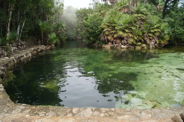 Cenote Yax Kin Yucatan Mexiko — Stockfoto