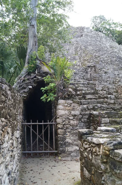 コバは メキシコのキンタナ ルー州に位置するユカタン半島の古代マヤの都市です ピラミッドと遺跡 — ストック写真