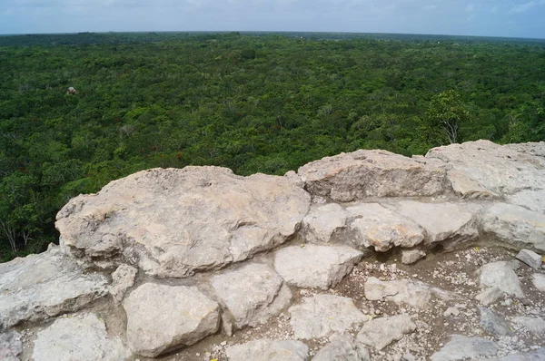 Coba Maya Selva México — Fotografia de Stock