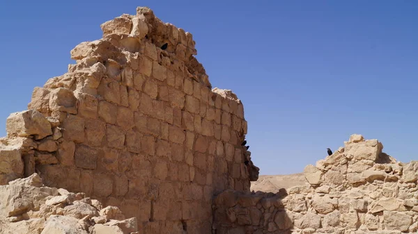 Les Ruines Forteresse Masada Israël — Photo