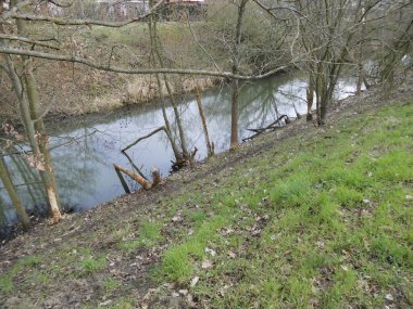 Kunduzlar Wuhle Nehri 'nin kıyısındaki ağaçlardan aşağı yuvarlandı. Berlin.