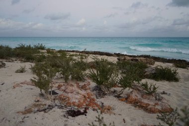 Cayo Santa Maria Sahili. Küba.