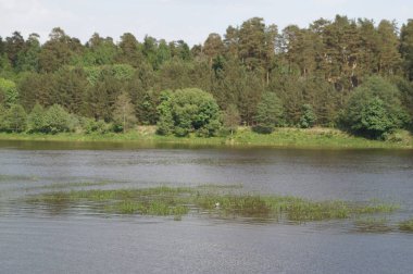 Litvanya 'daki Neman Nehri' nin muhteşem kıyıları