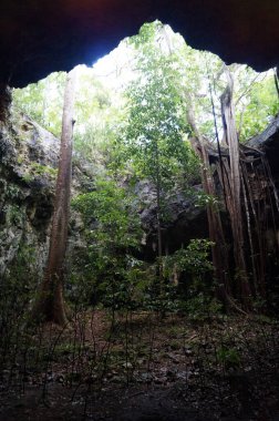 Lolthun mağarası, Maya dilinde - bir çiçek taşı. Maya kutsal mağaralarından biri, Meksika..