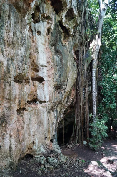 Grotte Lolthun Langue Maya Une Pierre Fleurie Une Des Grottes — Photo