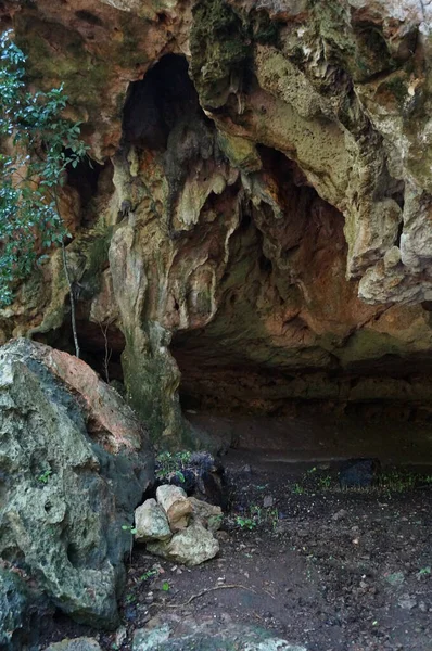 Grotte Lolthun Langue Maya Une Pierre Fleurie Une Des Grottes — Photo