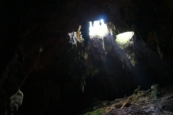 Grotte Lolthun Langue Maya Une Pierre Fleurie Une Des Grottes — Photo