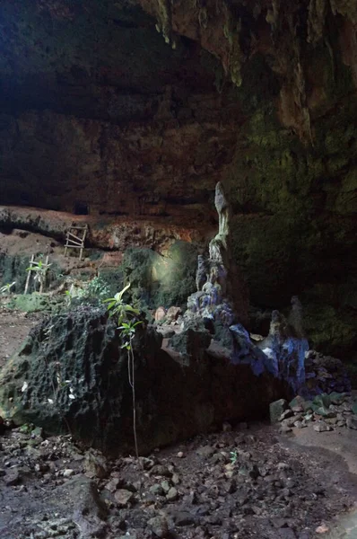 Grotte Lolthun Langue Maya Une Pierre Fleurie Une Des Grottes — Photo