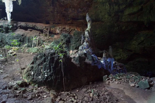 Grotte Lolthun Langue Maya Une Pierre Fleurie Une Des Grottes — Photo
