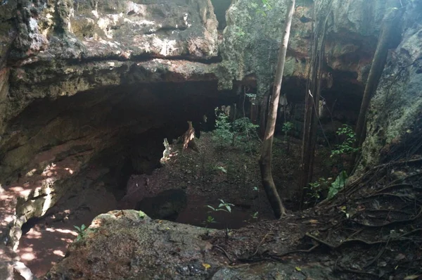 Die Höhle Von Lolthun Maya Sprache Ein Blumenstein Eine Der — Stockfoto