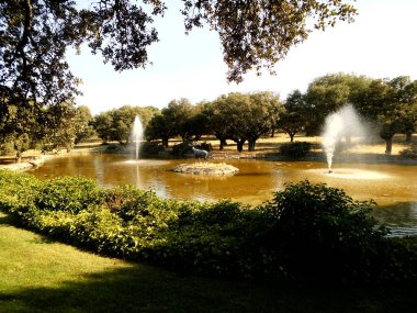Dinlenme bölgesi. Çeşmeler. İspanya