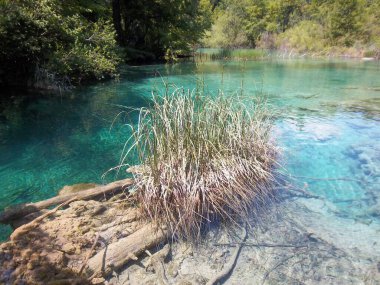 plitvice gölleri ulusal park, Hırvat