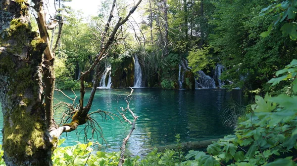 Plitvicesjöar Nationalpark Kroatia — Stockfoto