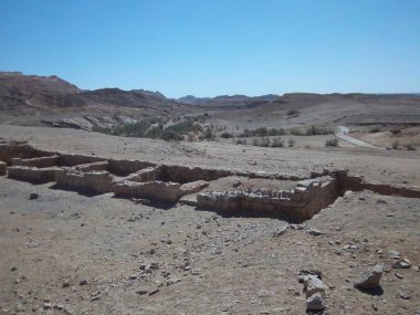  Makhtesh Ramon 'daki tek kaynak. Negev Çölü. İsrail.