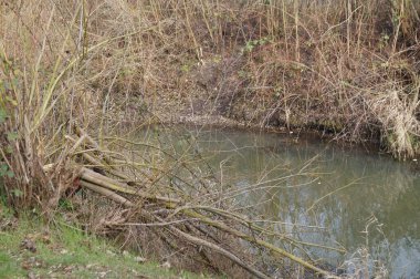 Wuhle Nehri manzarası. Biesdorf, Berlin, Almanya.