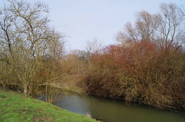 Vue Sur Rivière Wuhle Biesdorf Berlin Allemagne — Photo