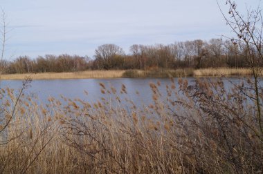 Butzer Gölü. Kaulsdorf, Berlin, Almanya.