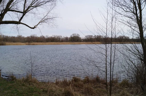 Butzersee Kaulsdorf Berlin Deutschland — Stockfoto