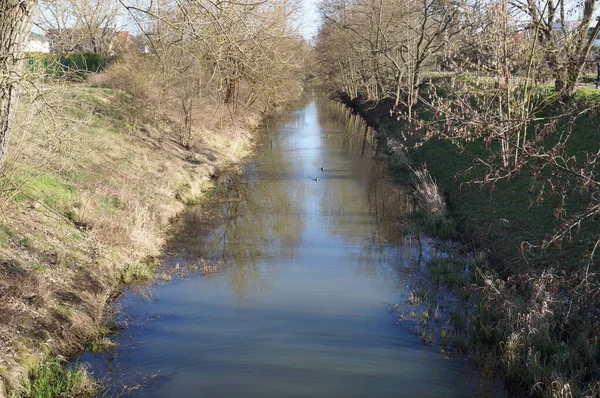 Eenden Wuhle River Berlijn Duitsland — Stockfoto