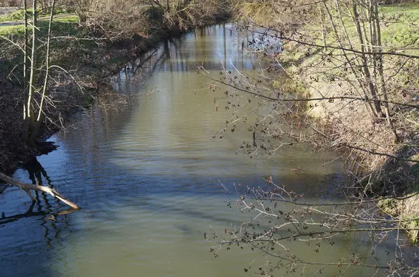 Fiume Wuhle Berlino Germania Riva Del Fiume Primavera — Foto Stock