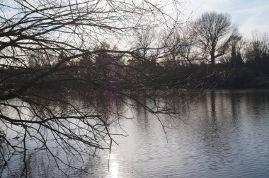 Göl manzarası. Wuhlesee, Kaulsdorf, Berlin, Almanya.