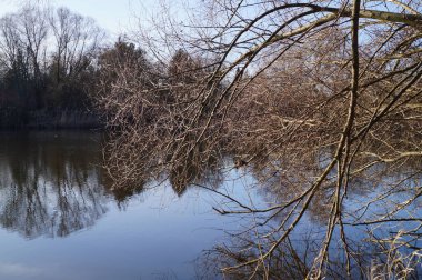 Göl manzarası. Wuhlesee, Kaulsdorf, Berlin, Almanya.