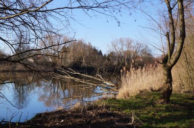 Göl manzarası. Wuhlesee, Kaulsdorf, Berlin, Almanya.