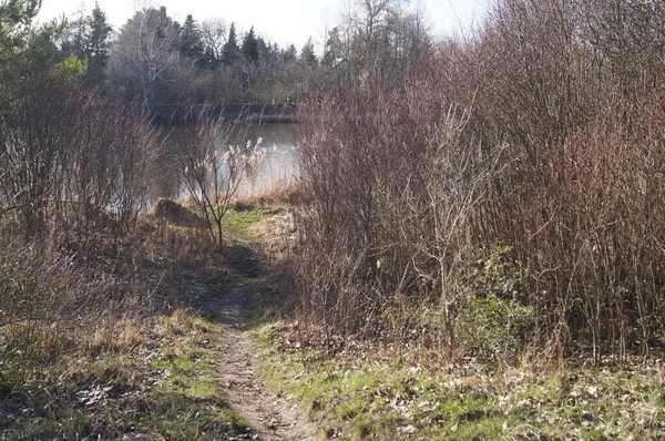 Blick Auf Den See Wuhlesee Kaulsdorf Berlin Deutschland — Stockfoto