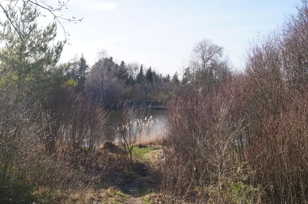 Vista Para Lago Wuhlesee Kaulsdorf Berlim Alemanha — Fotografia de Stock