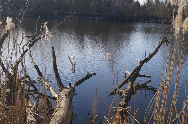 Blick Auf Den See Wuhlesee Kaulsdorf Berlin Deutschland — Stockfoto