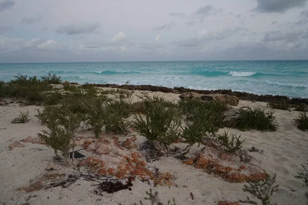 Cayo Santa Maria Sahili. Küba.
