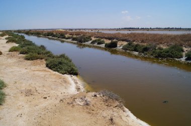  Manastır ve Susam arasındaki yol boyunca çok renkli tuz gölleri. Tunus.