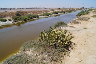  Manastır ve Susam arasındaki yol boyunca çok renkli tuz gölleri. Tunus.