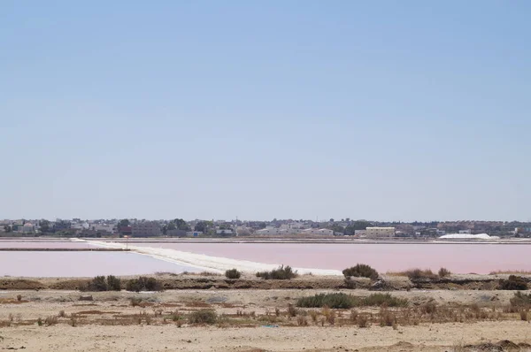 Laghi Salati Multicolori Lungo Strada Tra Monastir Sousse Tunisia — Foto Stock