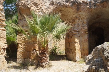 Tunus 'taki harabeler ve tarihi yerler.