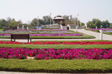 Birleşik Arap Emirlikleri 'ndeki muhteşem bitkiler. Şehirdeki park dinlenme alanı. Dubai.