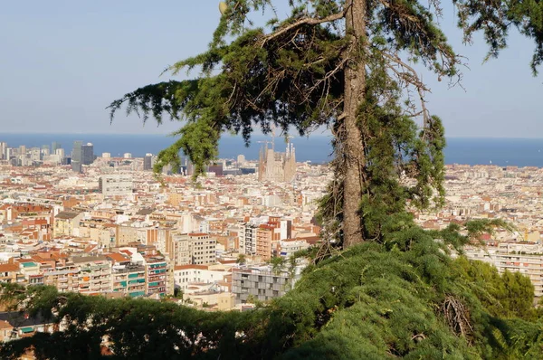 아름다운 풍경의 위에서 바라보는 바르셀로나의 아름다운 풍경이다 스페인 — 스톡 사진
