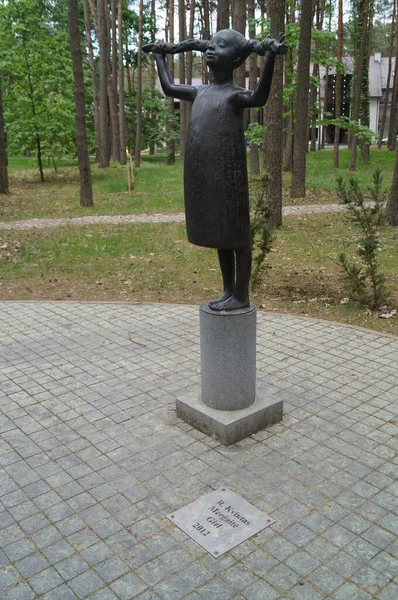 Birtonas Sculptuur Spoor Birtonas Central Park Litouwen — Stockfoto