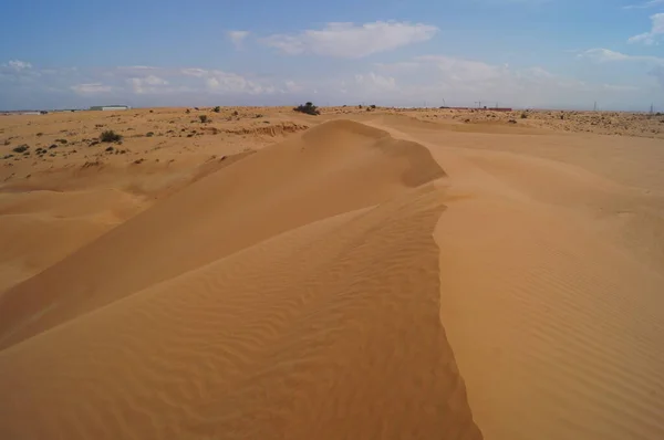 Homokdűnék Awafi Sivatagban Awafi Sivatag Egyesült Arab Emírségek — Stock Fotó