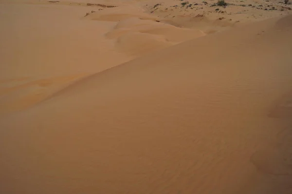 Písečné Duny Poušti Awafi Awafi Desert Spojené Arabské Emiráty — Stock fotografie