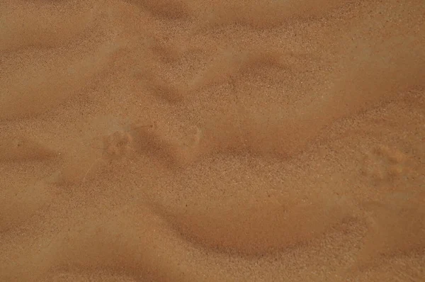 Dunas Areia Deserto Awafi Deserto Awafi Emirados Árabes Unidos — Fotografia de Stock